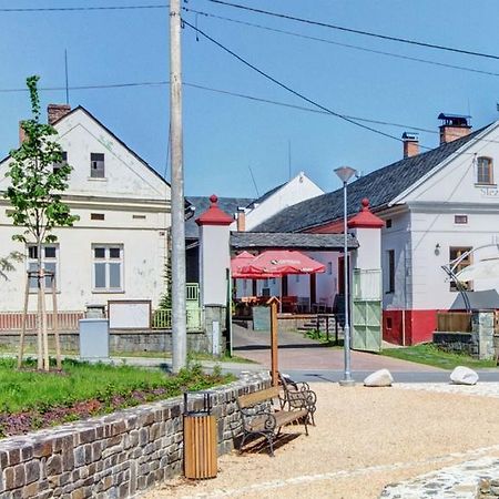 فندق Slezsky Grunt Háj ve Slezsku المظهر الخارجي الصورة